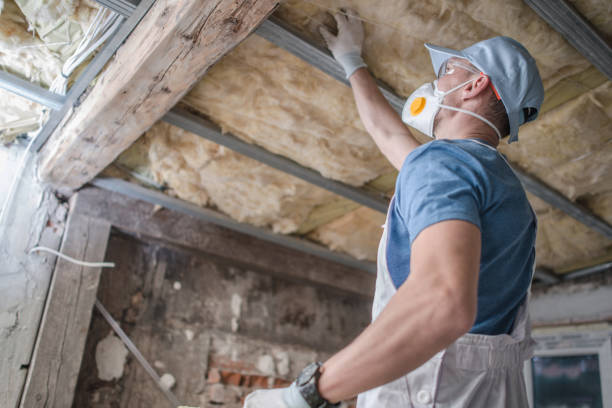 Best Insulation Maintenance and Repair in Pottsville, AR